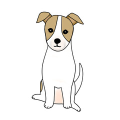 おすわりをするジャックラッセルテリア
