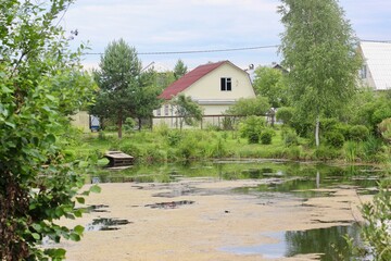 Fototapeta na wymiar Pond in the suburban village.