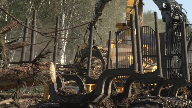 Logging trees and using the waste to create chipping mulch for recycling 