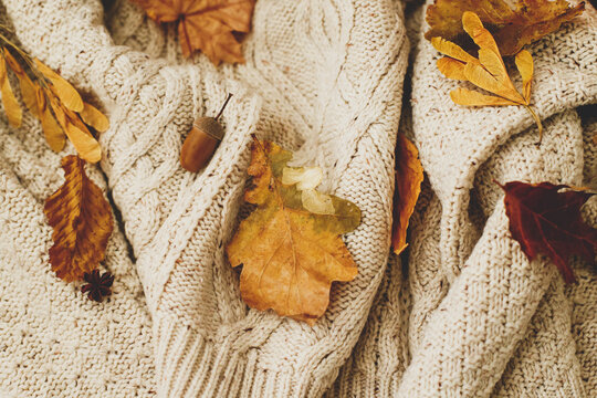 Cozy autumn. Warm knitted sweater with autumn leaves, acorns and anise. Hello fall, rustic image