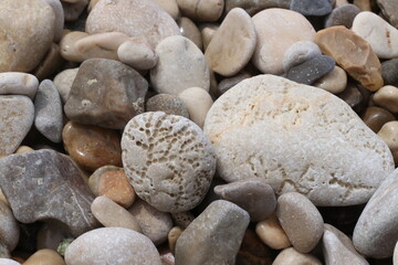 Qalhat, Beach in Oman and Mountains of Hajar 
