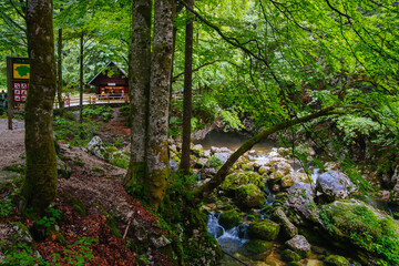 Scenic Landscape around Lake Bohinj in Slovenia