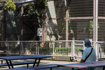 真夏の動物園で休憩しているシニア男性