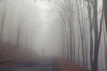 Silhouette in the fog on a road in the forest