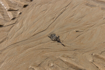 patterns in the sand at low tide	
