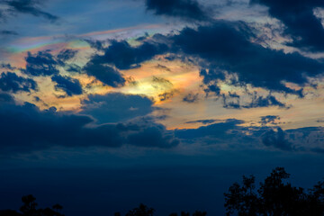 Beautiful Irisation,Rainbow Clouds,Sky Beautiful,Colorful clouds in the overcast sky,Iridescent cloud ,Iridescent Pileus,Iridescenc, foreground tree silhouette 04