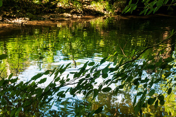 Wasserspiegelung und Wasserbewegung - Hintergrund
