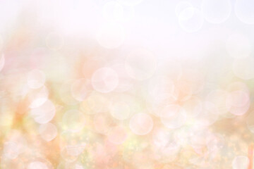 Obraz premium Abstract nature blur orange garden and sunlight