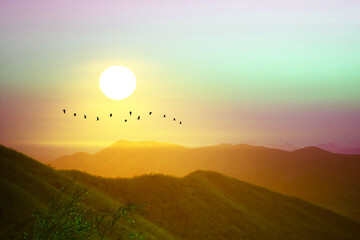 sunrise on morning colorful rainbow sky over hill and mountain and silhouette bird flying