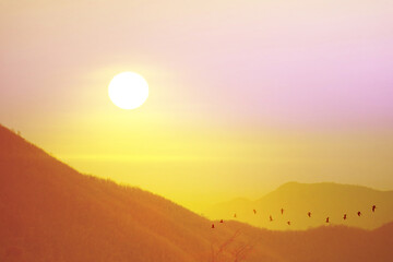 sunset on top of Wong Phra Jun mountain and silhouette birds flying on evening sky