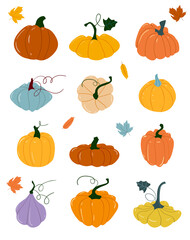 Pumpkin of various shapes and colors. Thanksgiving and Halloween Elements. Set of cartoon elements of autumn. Orange vegetable. Autumn harvest. Scrapbook collection of fall season elements.