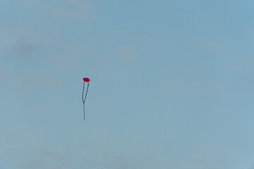 Red Kite in the Sky