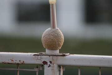 Lamp in a tennis ball