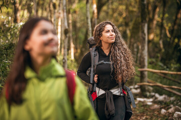 Família latina caminhando em meio a natureza