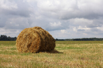 round haystack in the field. autumn serene mood