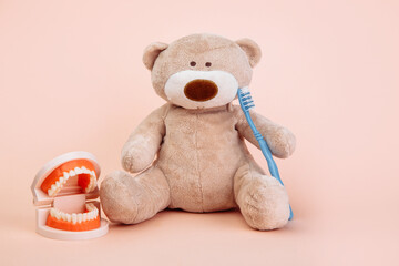 Stuffed Bear animal with toothbrush isolated on pink background. Children dentist theme.