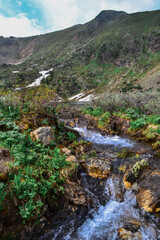 small blue mountain stream runs among colored yellow pink flowers, bushes in the mountains, splash, waterfall