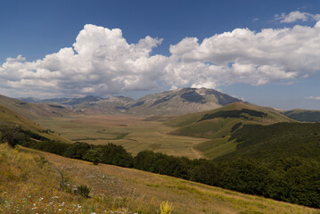 Obraz premium The plateau of Castelluccio in UMBRIA, Italy