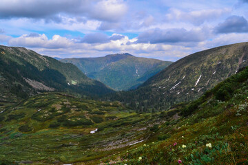 Obraz premium blooming green meadow with yellow white flowers in the blue Baikal mountains .ridge, blue sky, clouds