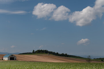 Naklejka premium 9月の素敵な雲と美瑛田園風景