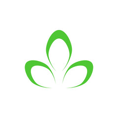 Moringa leaf Logo Template vector