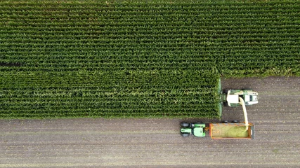 Fotobehang Harvesting a maize field © Robert Hoetink