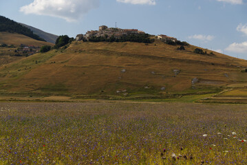 The plateau of Castelluccio in UMBRIA, Italy