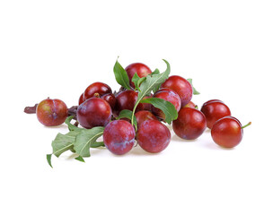 red cherry plum with green leaves isolated on white background
