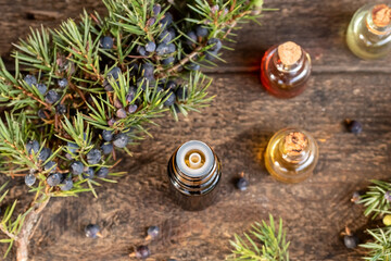 A dropper bottle of essential oil with juniper twigs and berries