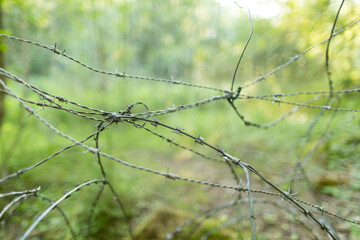 Stacheldraht im Wald