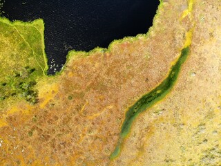 Lake in red copper colored swamp aerial view. Ecology nice place. Cloudy summer
