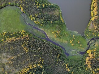 Aerial view from top down. River in green forest near lake at summer sunset.