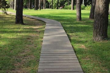 Walkway through the lawn in the city park. Moscow. Russia.