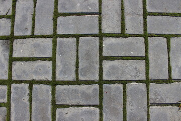 The path is made of rectangular stones. Russia.