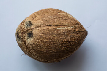 Coconut