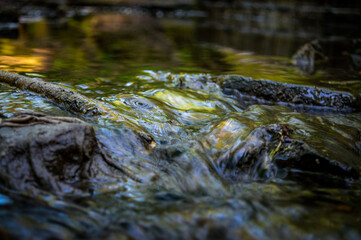 Naklejka na ściany i meble Long exposure of a rocky stream in motion. There are littered rags stuck on rocks down the stream.