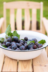 Bowl of freshly picked plums on a garden table