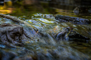 Long exposure of a rocky stream in motion. There are littered rags stuck on rocks down the stream.