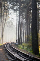 Railroad in the forest in the rays of the sun. Colorful industrial landscape with a railway, sunbeams, fallen leaves and trees on a foggy autumn morning. Fall season or train travel concept.