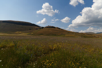 The plateau of Castelluccio in UMBRIA, Italy