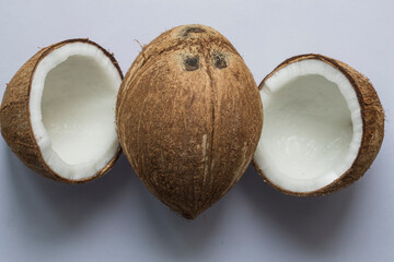 Coconut
