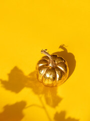 Autumn fall thanksgiving day composition with decorative golden pumpkin and maple leaf shadow. Shadows. Copy space.