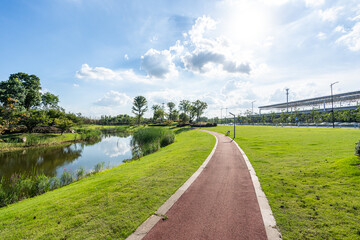 green lawn in city park