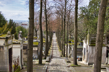 Fototapeta premium graves in a graveyard in paris