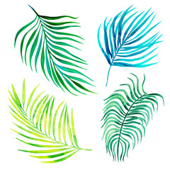 Fototapeta na wymiar Tropical palm leaves watercolor set isolated on white background