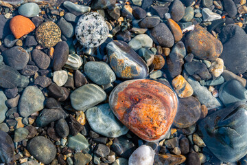 Some colorful waterworn rocks in the Atlantic Ocean.  - 376939969