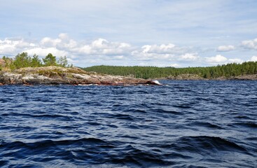 Ladoga lake bay Skerry in Russian Karelia. stone Islands with pine trees Summer