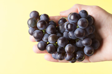 A bunch of black grapes on the palm of your hand on a bright yellow background. Healthy eating