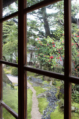 garden in matsue (japan)