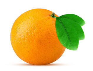 Fresh mandarin with green leaf